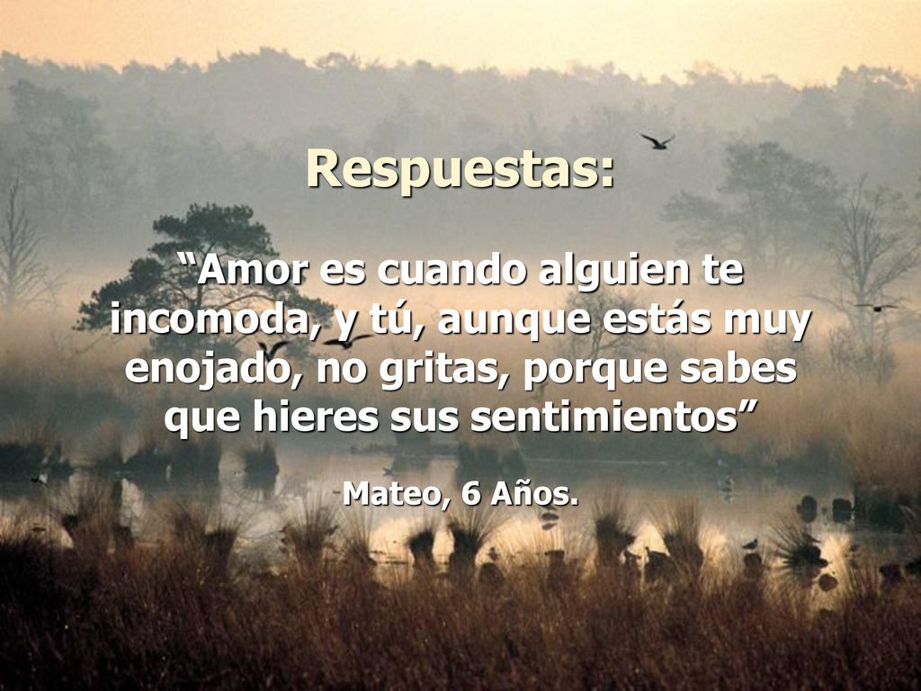 Respuestas: Amor es cuando alguien te incomoda, y tú, aunque estás muy enojado, no gritas, porque sabes que hieres sus sentimientos