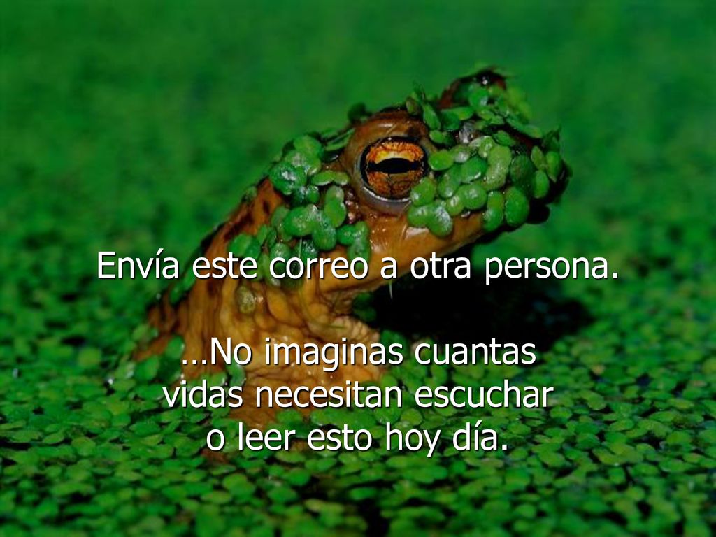 Envía este correo a otra persona. …No imaginas cuantas