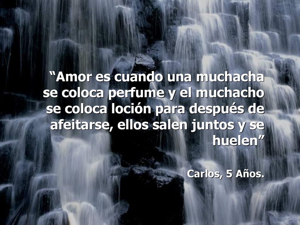Amor es cuando una muchacha se coloca perfume y el muchacho se coloca loción para después de afeitarse, ellos salen juntos y se huelen
