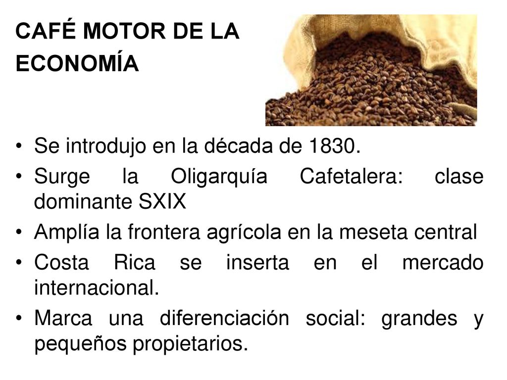 CAFÉ MOTOR DE LA ECONOMÍA Se introdujo en la década de 1830.