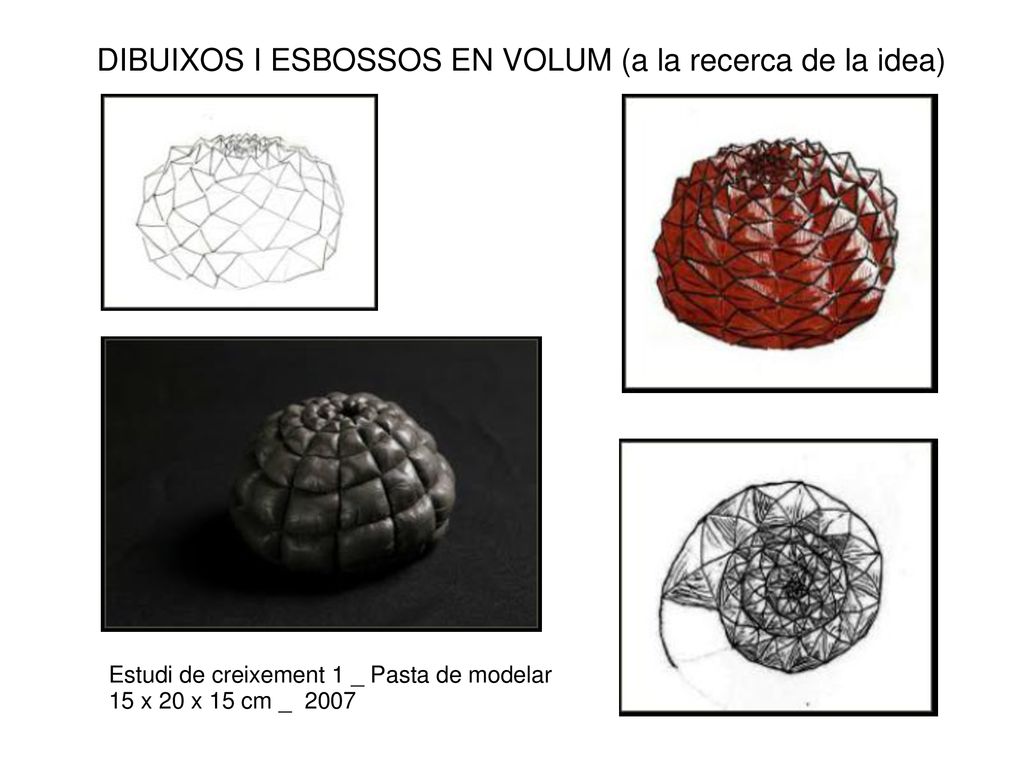 DIBUIXOS I ESBOSSOS EN VOLUM (a la recerca de la idea)