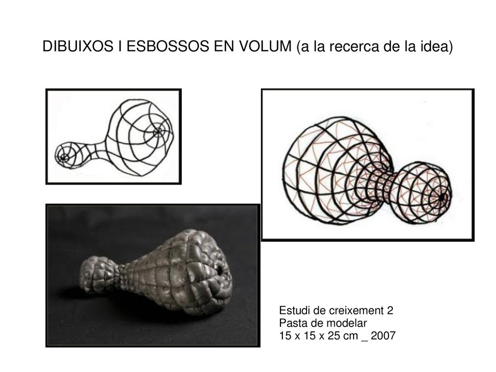 DIBUIXOS I ESBOSSOS EN VOLUM (a la recerca de la idea)