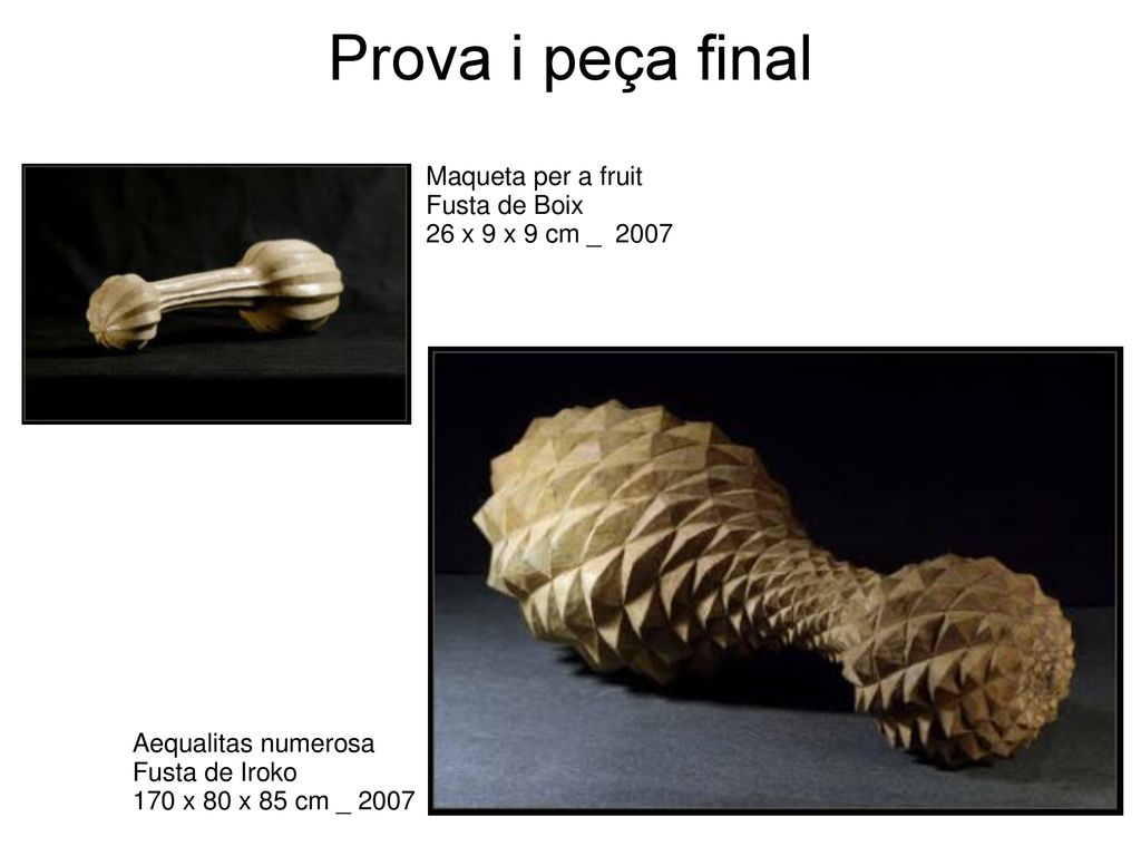 Prova i peça final Maqueta per a fruit Fusta de Boix