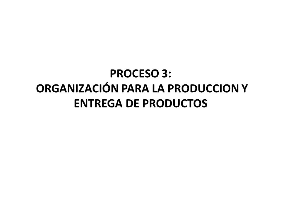 PROCESO 3: ORGANIZACIÓN PARA LA PRODUCCION Y ENTREGA DE PRODUCTOS