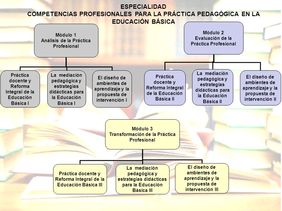 ESPECIALIDAD COMPETENCIAS PROFESIONALES PARA LA PRÁCTICA PEDAGÓGICA EN LA EDUCACIÓN BÁSICA