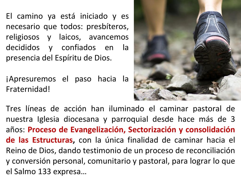 El camino ya está iniciado y es necesario que todos: presbíteros, religiosos y laicos, avancemos decididos y confiados en la presencia del Espíritu de Dios.