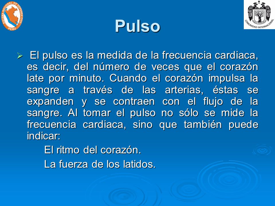 Pulso