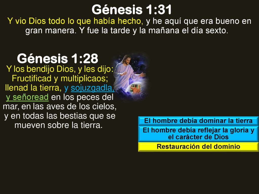 Génesis 1:31 Y vio Dios todo lo que había hecho, y he aquí que era bueno en gran manera. Y fue la tarde y la mañana el día sexto.