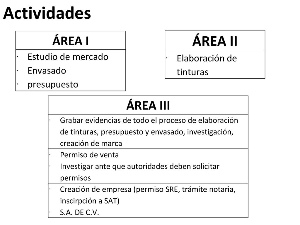 Actividades ÁREA II ÁREA I ÁREA III Estudio de mercado