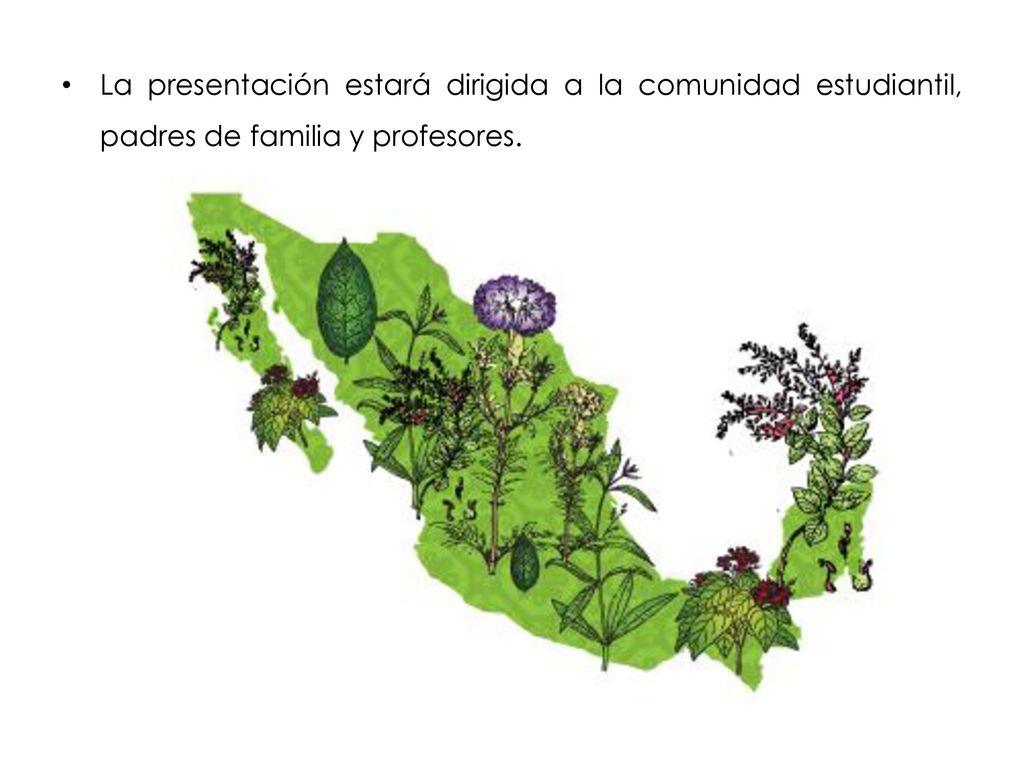 La presentación estará dirigida a la comunidad estudiantil, padres de familia y profesores.
