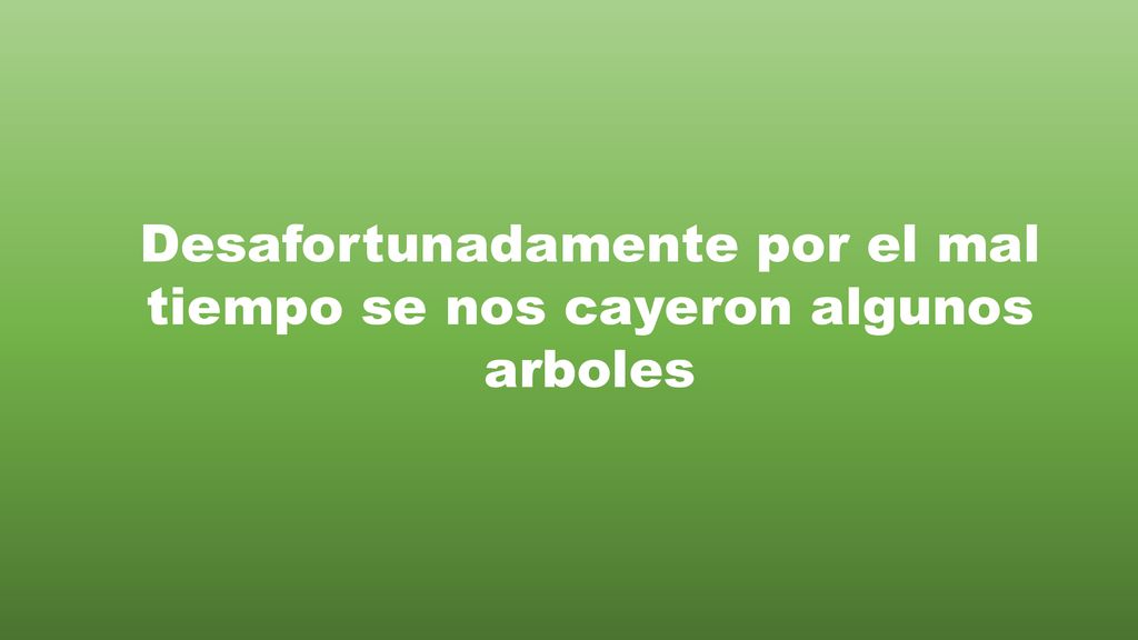 Desafortunadamente por el mal tiempo se nos cayeron algunos arboles
