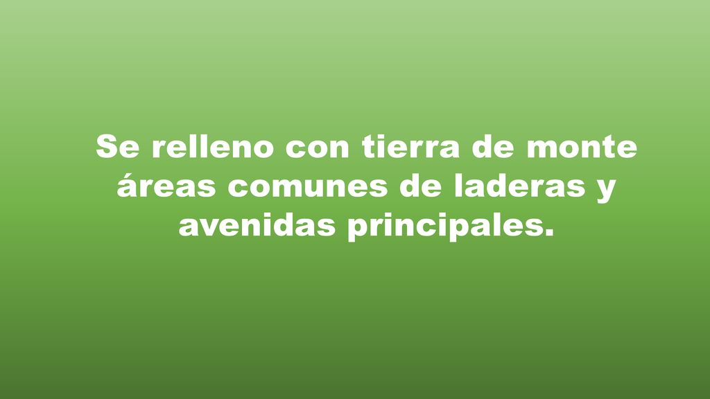 Se relleno con tierra de monte áreas comunes de laderas y avenidas principales.