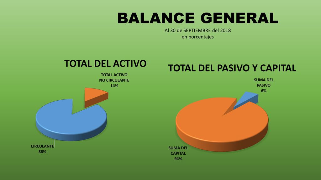 BALANCE GENERAL Al 30 de SEPTIEMBRE del 2018 en porcentajes