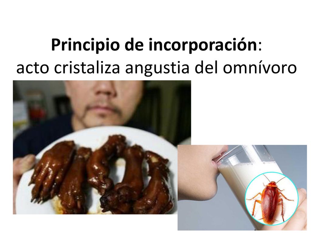 Principio de incorporación: acto cristaliza angustia del omnívoro
