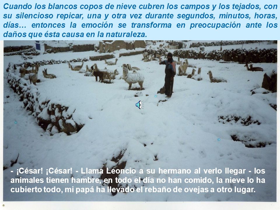 Cuando los blancos copos de nieve cubren los campos y los tejados, con su silencioso repicar, una y otra vez durante segundos, minutos, horas, días… entonces la emoción se transforma en preocupación ante los daños que ésta causa en la naturaleza.