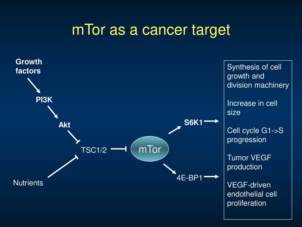 mTor as a cancer target mTor Growth factors