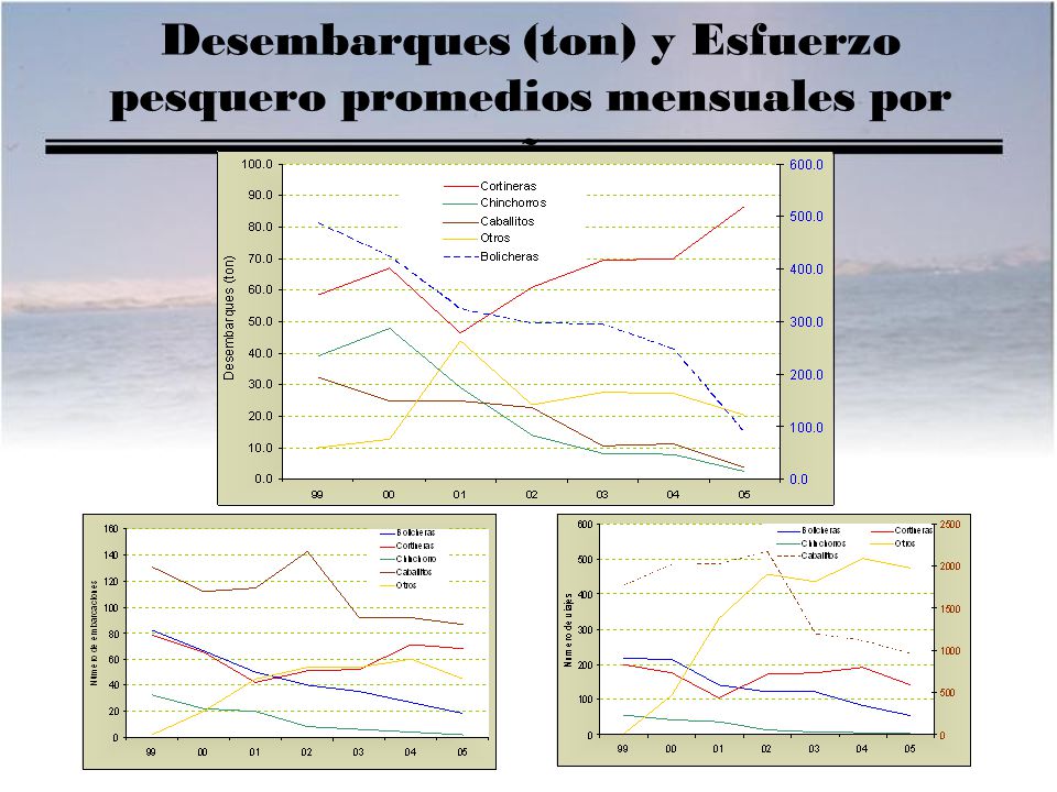 Desembarques (ton) y Esfuerzo pesquero promedios mensuales por año
