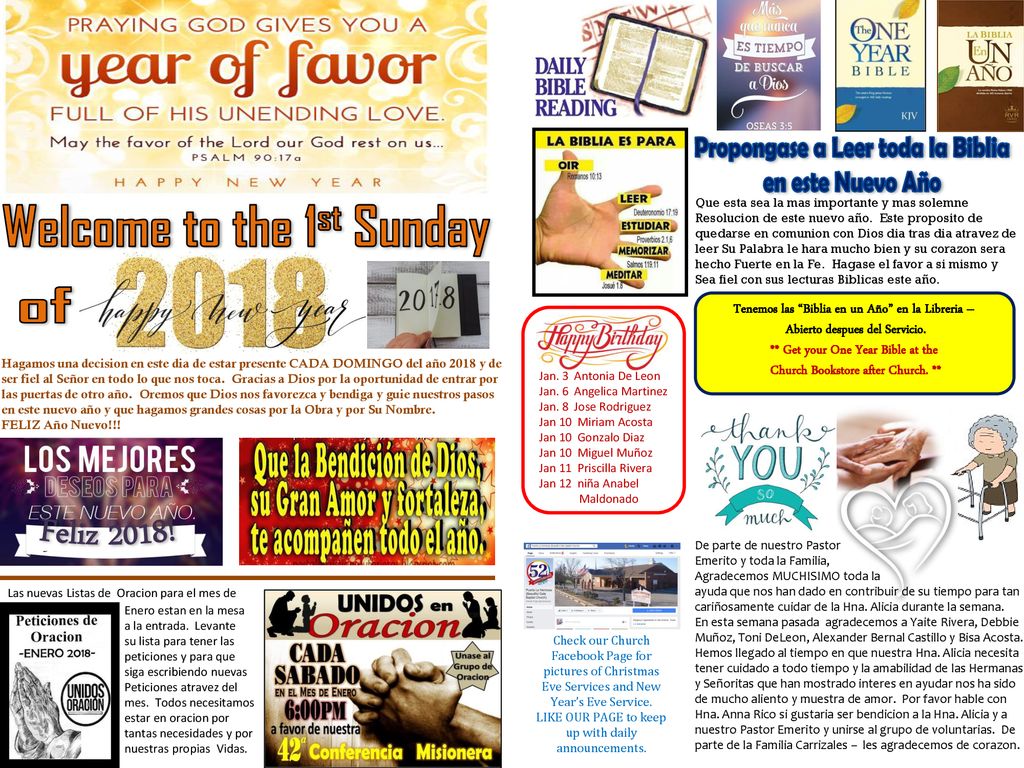 Propongase a Leer toda la Biblia en este Nuevo Año
