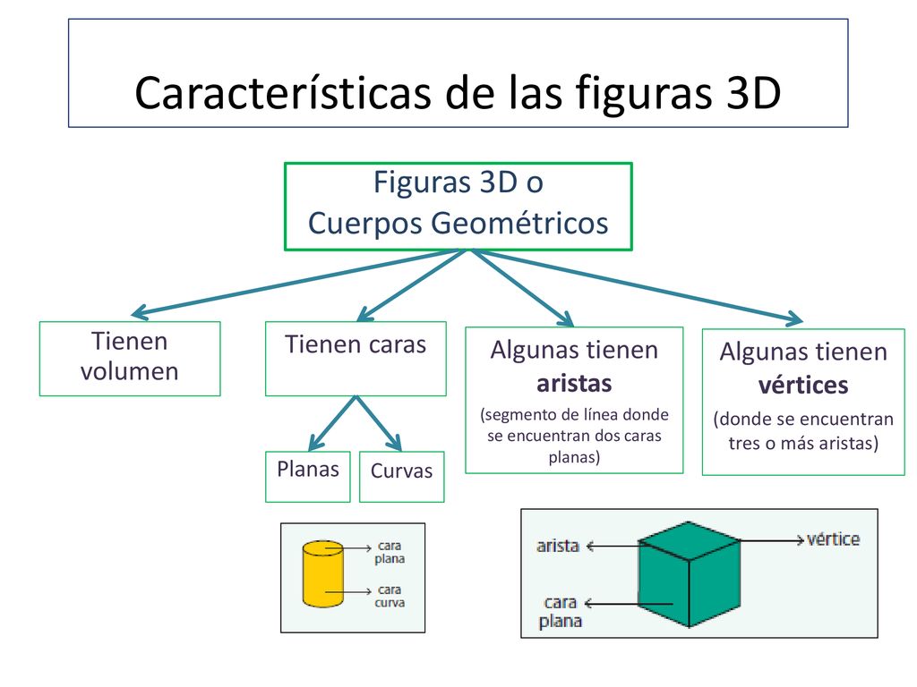 Figuras 3D o Cuerpos Geométricos Características de las figuras 3D