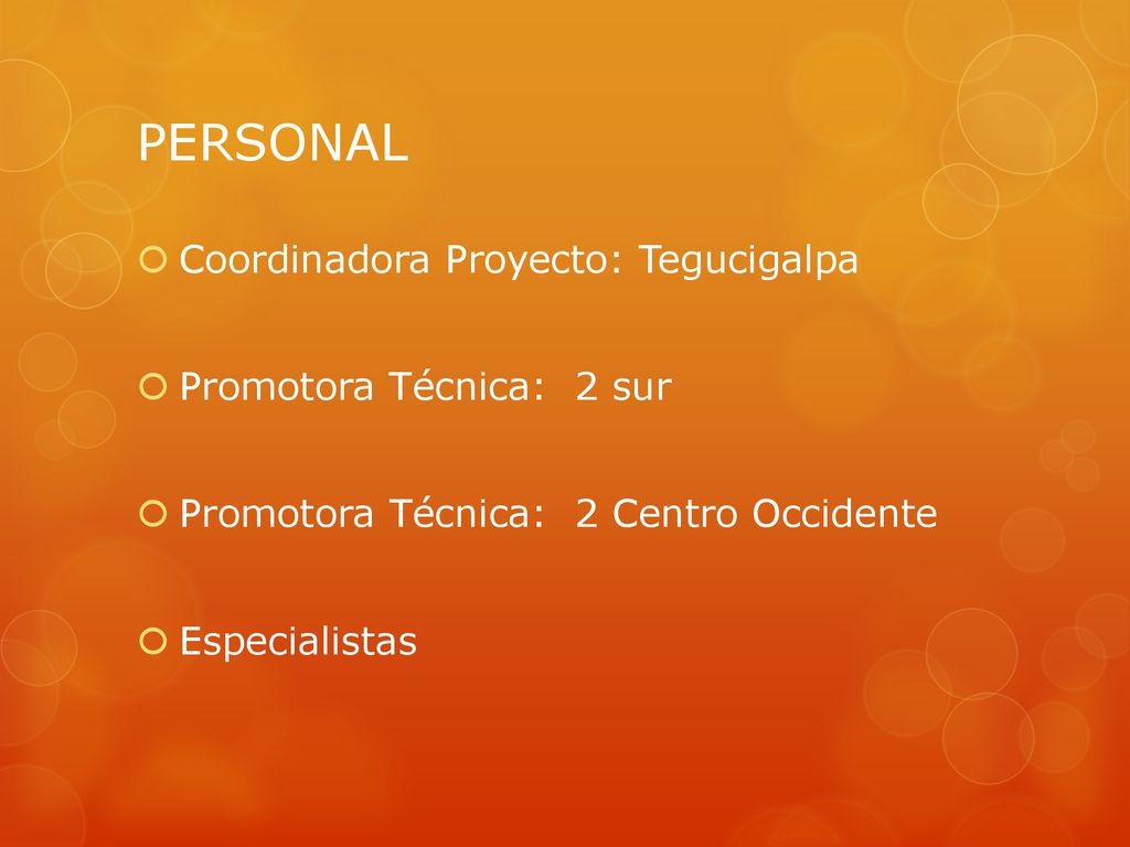 PERSONAL Coordinadora Proyecto: Tegucigalpa Promotora Técnica: 2 sur