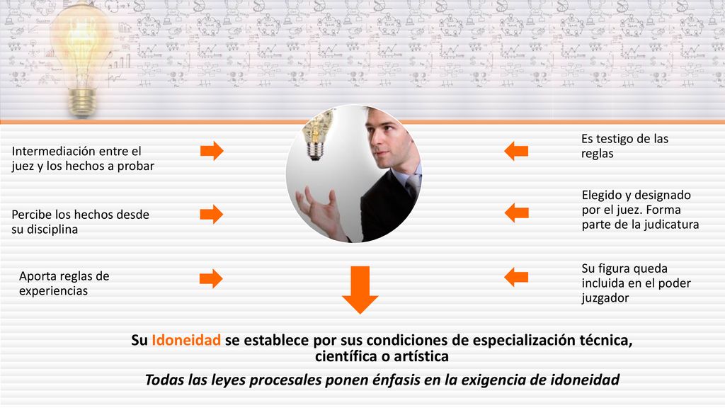 Todas las leyes procesales ponen énfasis en la exigencia de idoneidad