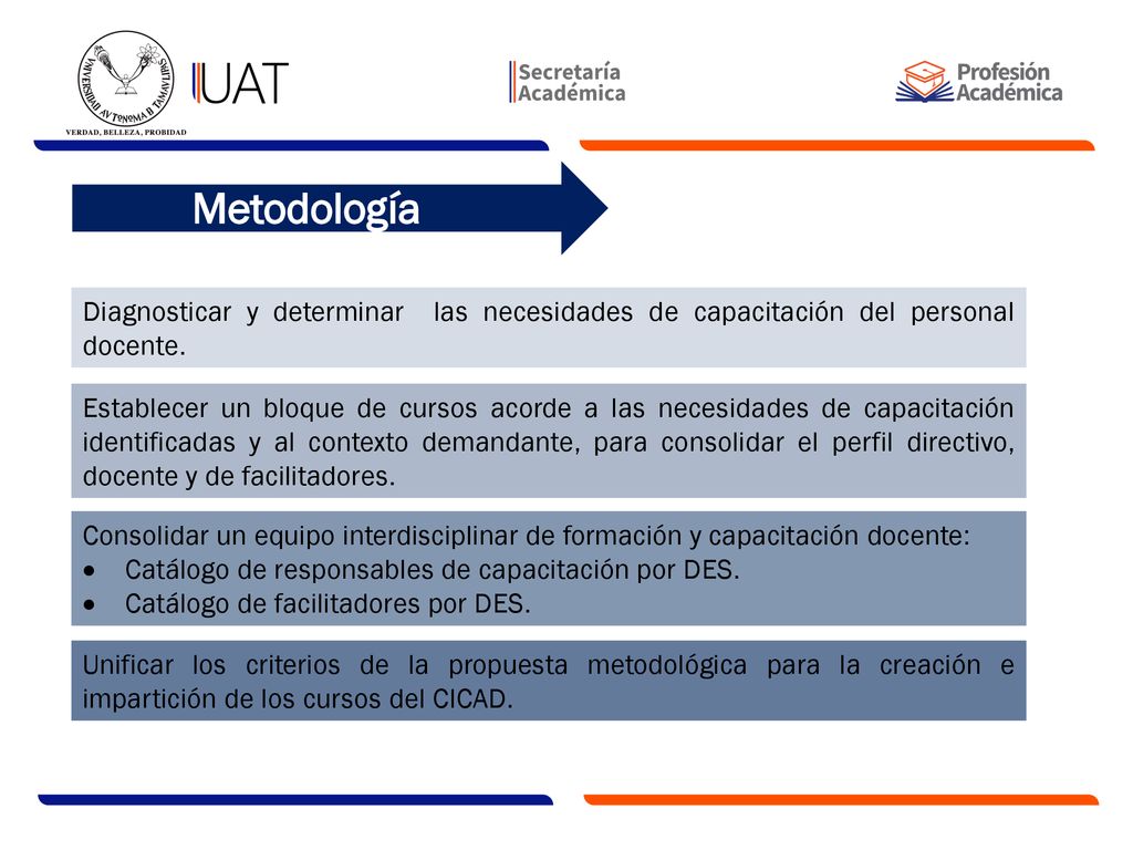 Metodología Diagnosticar y determinar las necesidades de capacitación del personal docente.