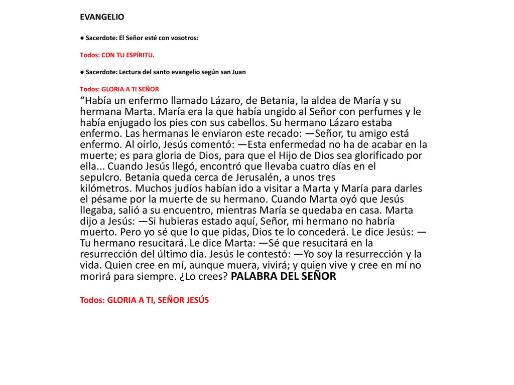 EVANGELIO ● Sacerdote: El Señor esté con vosotros: Todos: CON TU ESPÍRITU. ● Sacerdote: Lectura del santo evangelio según san Juan.