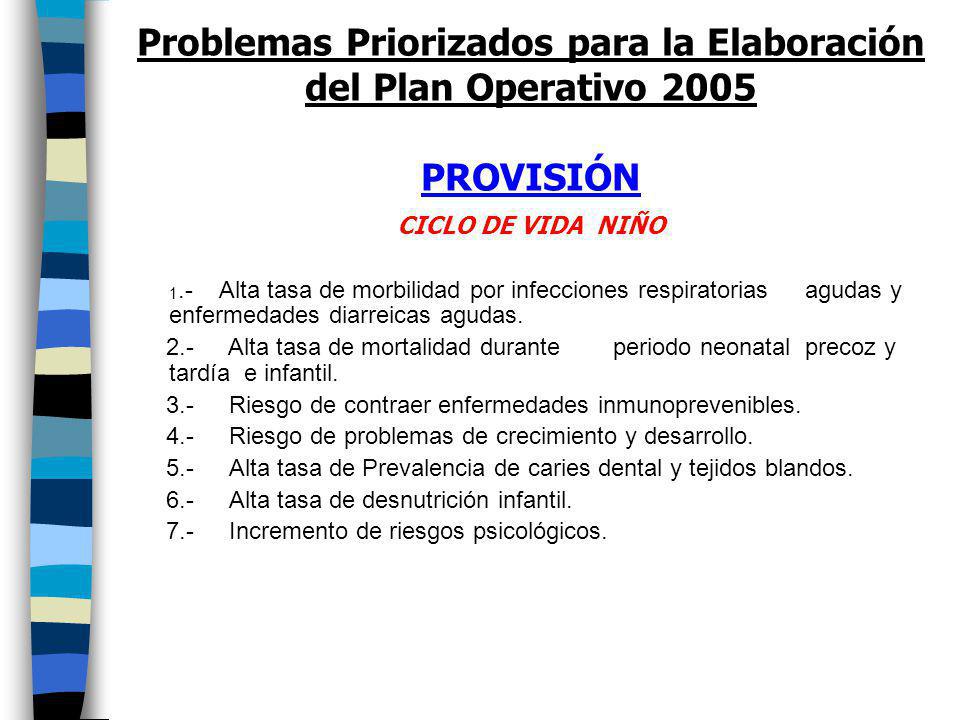 Problemas Priorizados para la Elaboración del Plan Operativo 2005 PROVISIÓN