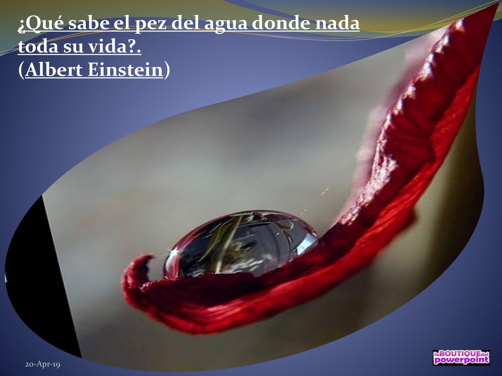¿Qué sabe el pez del agua donde nada toda su vida . (Albert Einstein)