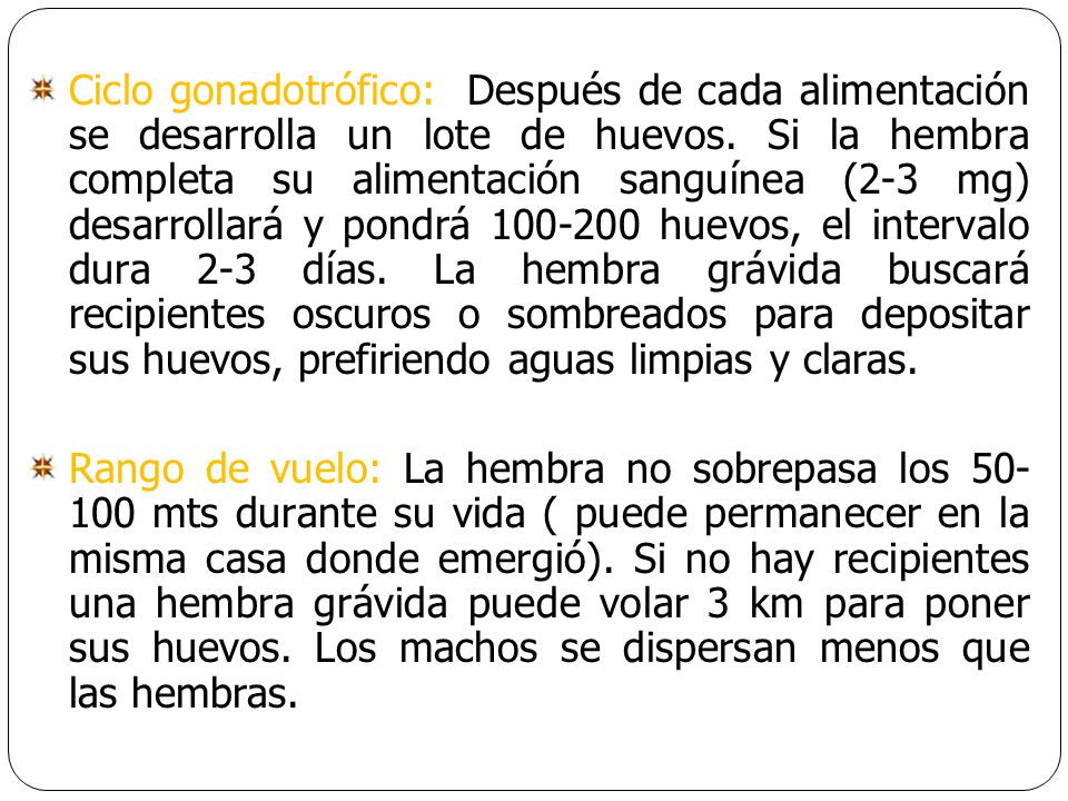 Ciclo gonadotrófico: Después de cada alimentación se desarrolla un lote de huevos. Si la hembra completa su alimentación sanguínea (2-3 mg) desarrollará y pondrá huevos, el intervalo dura 2-3 días. La hembra grávida buscará recipientes oscuros o sombreados para depositar sus huevos, prefiriendo aguas limpias y claras.