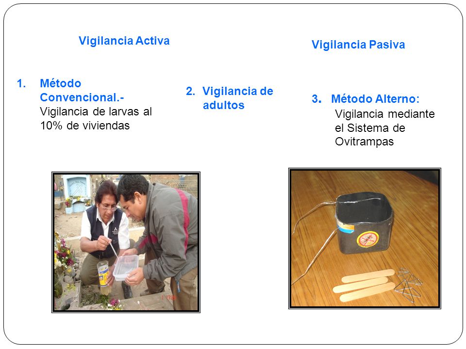 Vigilancia Activa Vigilancia Pasiva. Método Convencional.- Vigilancia de larvas al 10% de viviendas.