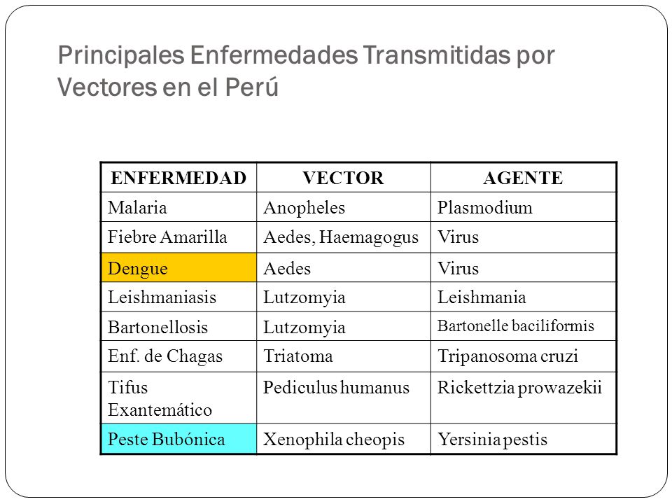 Principales Enfermedades Transmitidas por Vectores en el Perú