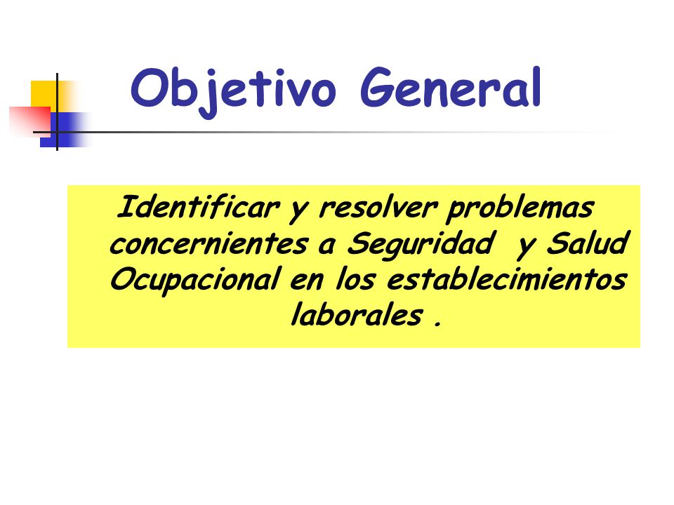 Objetivo General Identificar y resolver problemas concernientes a Seguridad y Salud Ocupacional en los establecimientos laborales .