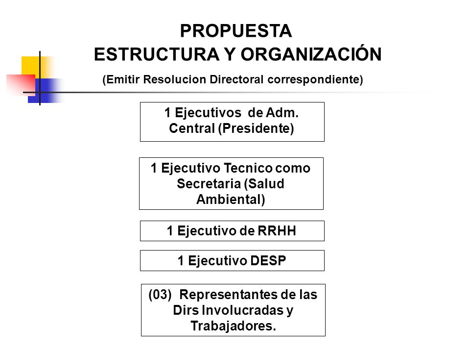 PROPUESTA ESTRUCTURA Y ORGANIZACIÓN