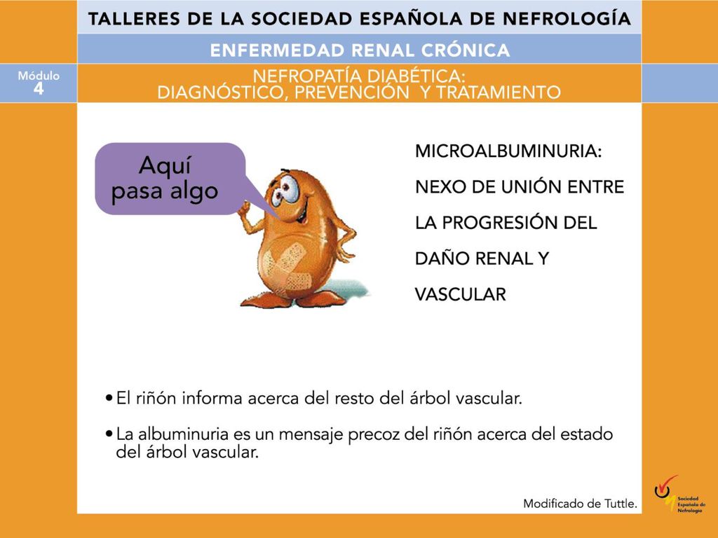 El riñón informa acerca de cómo está el resto del árbol vascular con una medición muy exacta y precoz, que es la albuminuria.