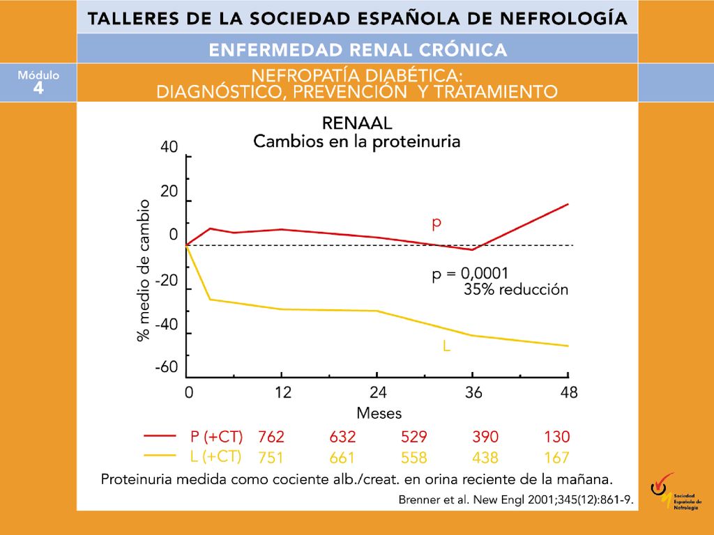 El estudio RENAAL (Reduction of Endpoints with the Angiotensin Antagonist Receptor Losartan) demostró, en pacientes diabéticos tipo 2, con ND establecida, proteinuria e insuficiencia renal (creatinina <3 mg/dl), que losartán fue capaz de disminuir el riesgo relativo de un objetivo primario combinado de duplicación de creatinina-muerte renal (IRCT) o muerte real del paciente en un 35%, con dosis entre 50 y 100 mg/día.