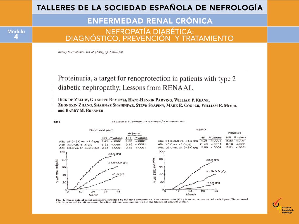 Posteriormente, un subanálisis de los datos obtenidos estableció una correlación entre el grado de proteinuria basal y la evolución del paciente.