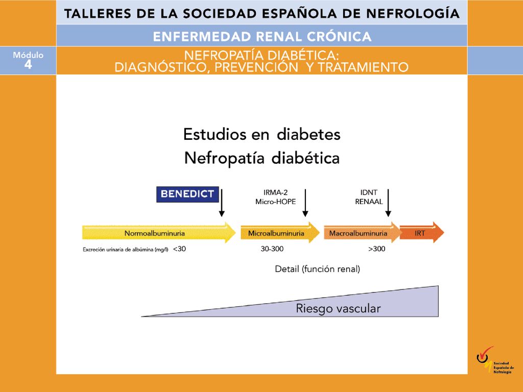 Hasta ahora, ningún estudio había evaluado el poder preventivo de un tratamiento hipotensor sobre el desarrollo de nefropatía diabética.