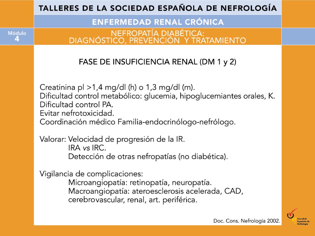 Medidas de prevención y tratamiento de la ND en fase de insuficiencia renal.