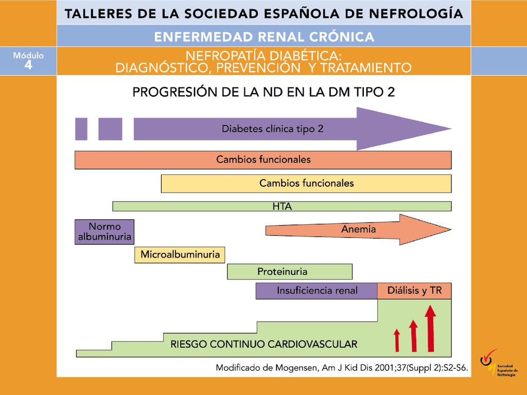 Historia natural de la nefropatía diabética en la DM 2