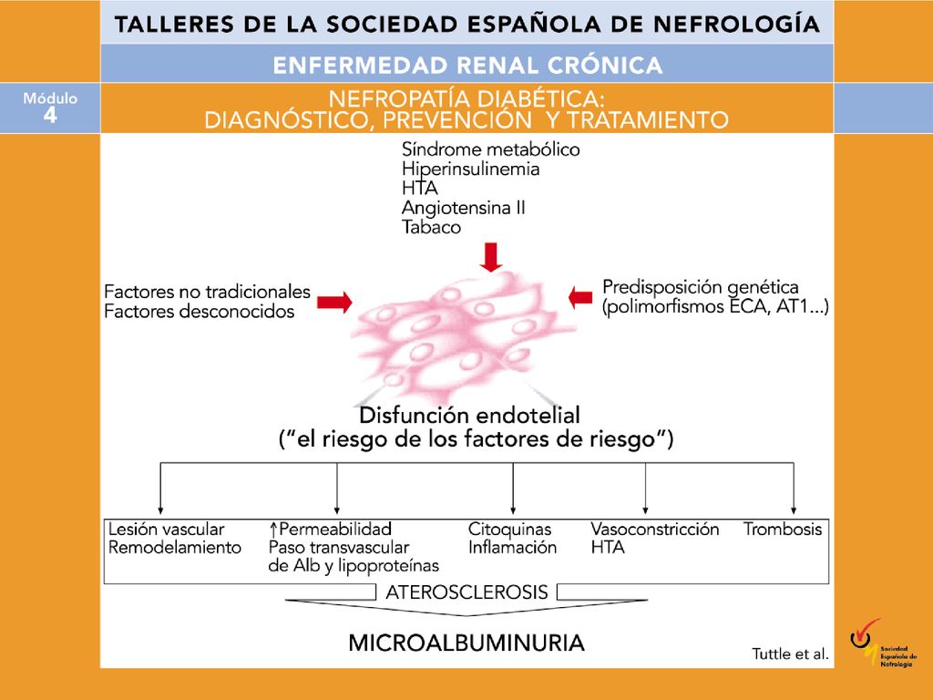 La microalbuminuria constituye la manifestación común de disfunción endotelial, secundaria a diversas patologías y factores de riesgo