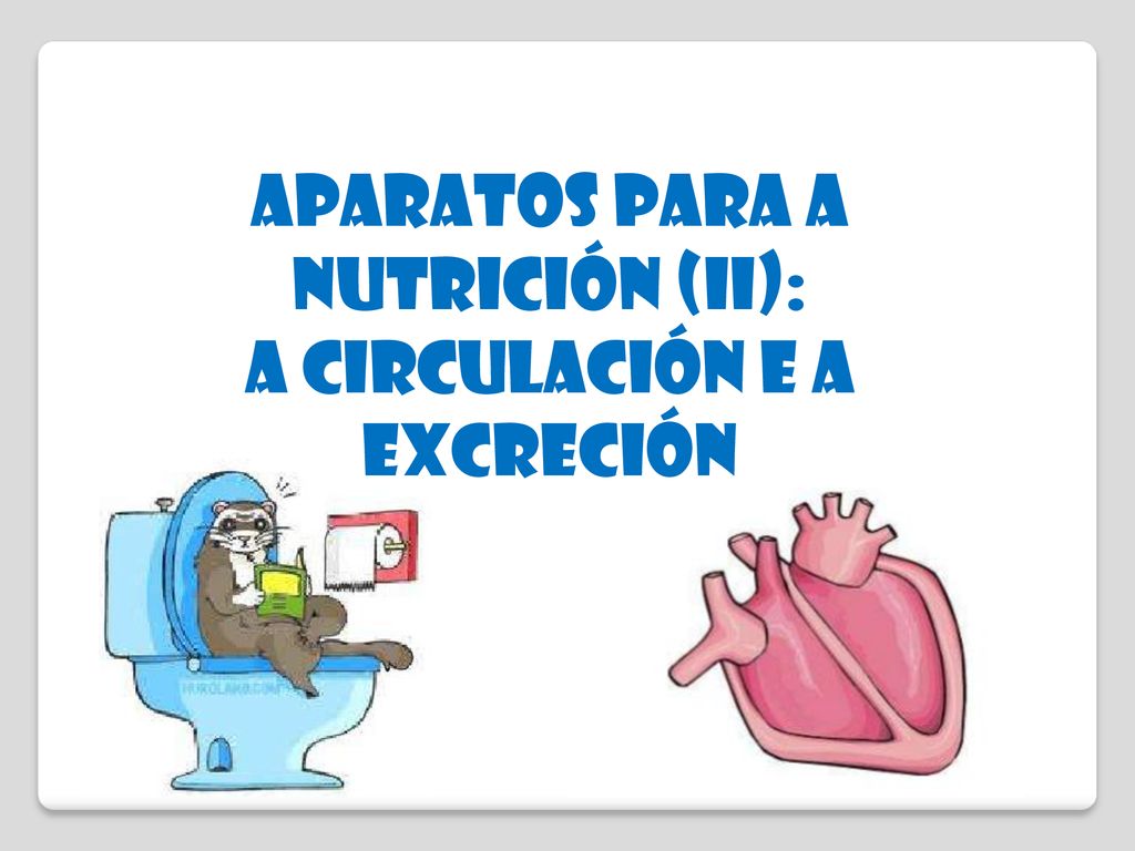 APARATOS PARA A NUTRICIÓN (II): A CIRCULACIÓN E A EXCRECIÓN