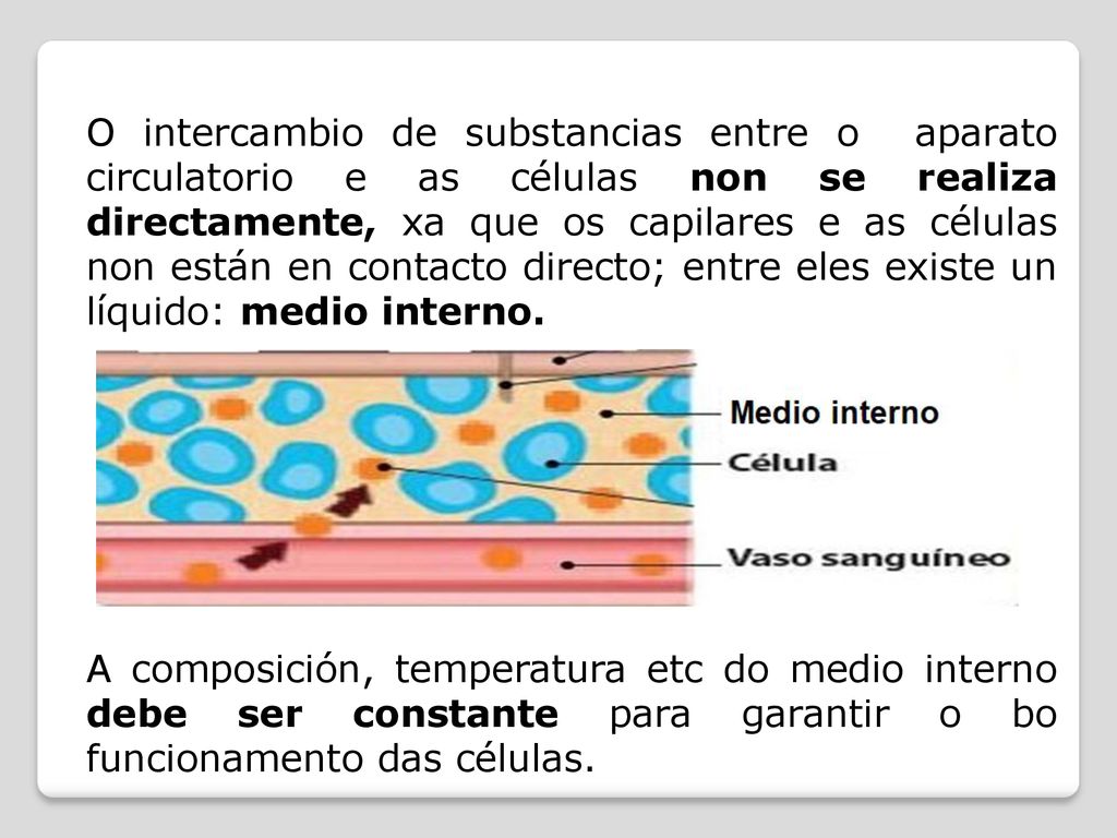 O intercambio de substancias entre o aparato circulatorio e as células non se realiza directamente, xa que os capilares e as células non están en contacto directo; entre eles existe un líquido: medio interno.