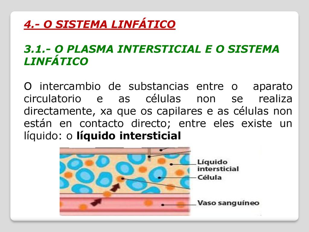 4.- O SISTEMA LINFÁTICO O PLASMA INTERSTICIAL E O SISTEMA LINFÁTICO.