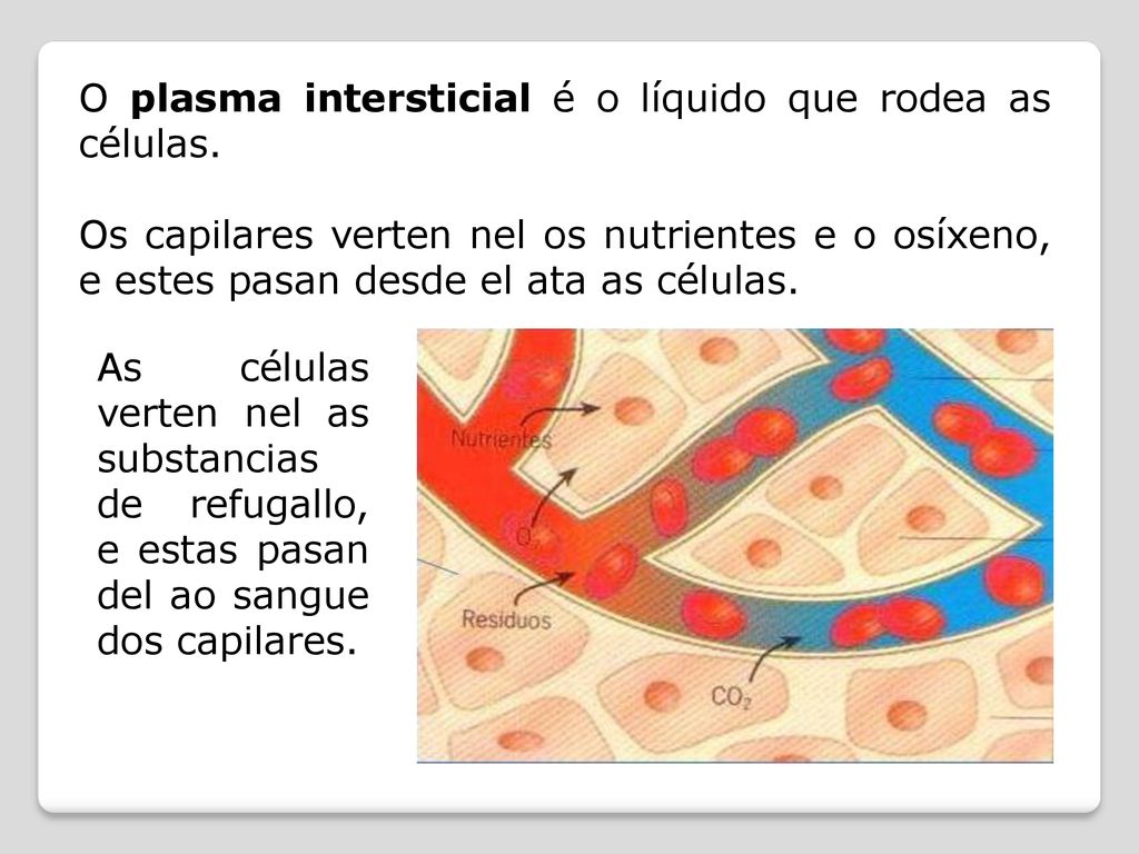 O plasma intersticial é o líquido que rodea as células.