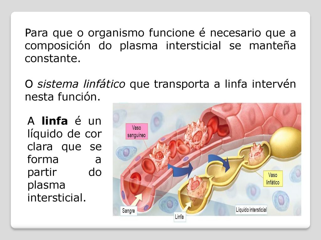 Para que o organismo funcione é necesario que a composición do plasma intersticial se manteña constante.