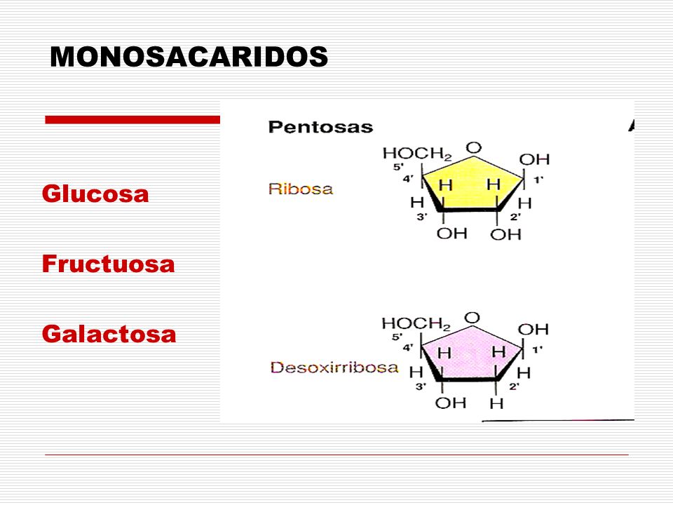 MONOSACARIDOS Glucosa Fructuosa Galactosa