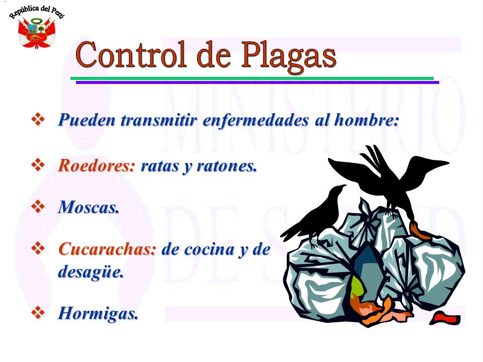 Control de Plagas Pueden transmitir enfermedades al hombre: