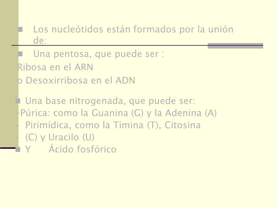 Los nucleótidos están formados por la unión de: