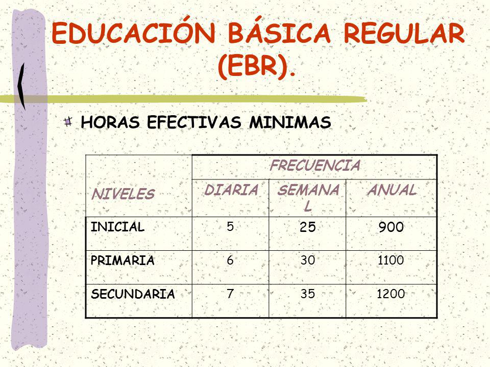 EDUCACIÓN BÁSICA REGULAR (EBR).